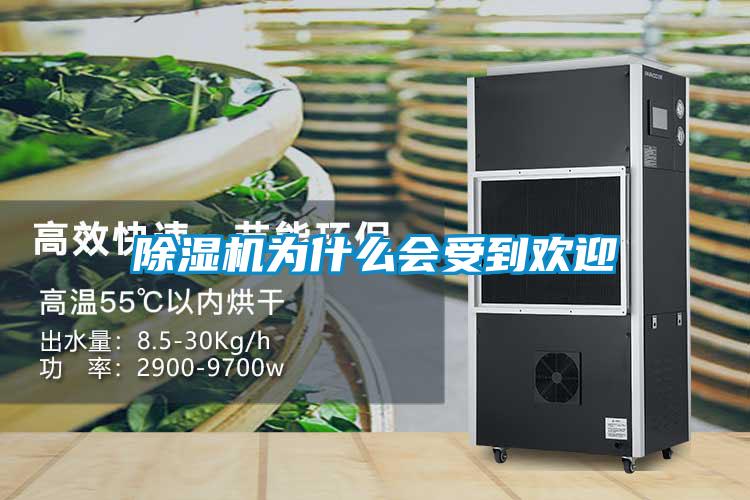 草莓视频下载网址為什麽會受到歡迎
