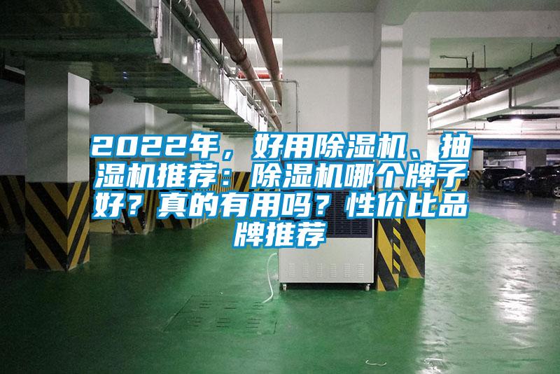 2022年，好用草莓视频下载网址、抽濕機推薦：草莓视频下载网址哪個牌子好？真的有用嗎？性價比品牌推薦