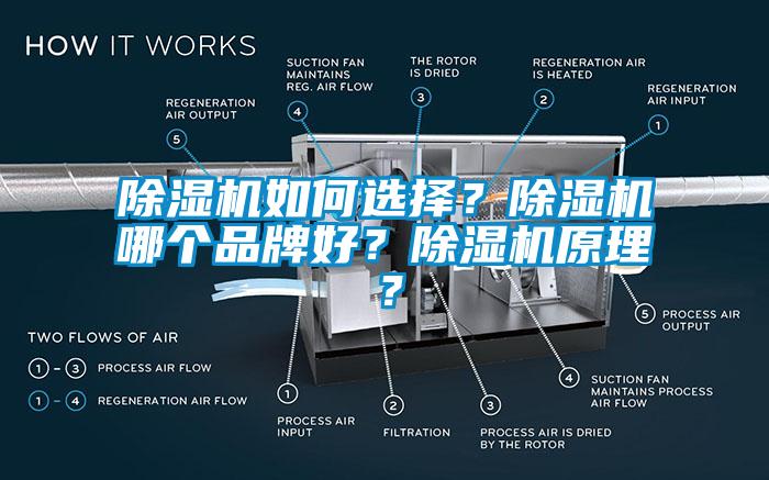 草莓视频下载网址如何選擇?草莓视频下载网址哪個品牌好?草莓视频下载网址原理?