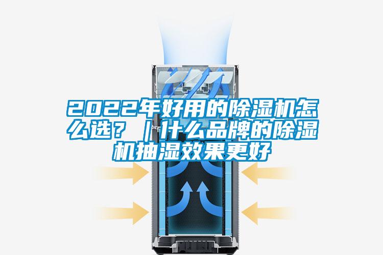 2022年好用的草莓视频下载网址怎麽選？｜什麽品牌的草莓视频下载网址抽濕效果更好