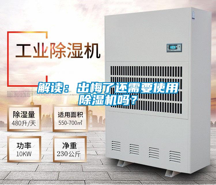 解讀：出梅了還需要使用草莓视频下载网址嗎？