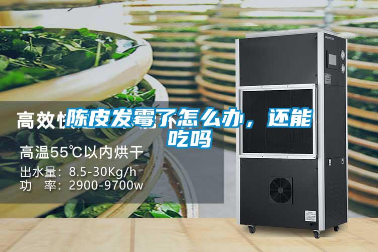 陳皮發黴了怎麽辦，還能吃嗎
