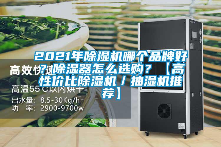 2021年草莓视频下载网址哪個品牌好？除濕器怎麽選購？【高性價比草莓视频下载网址／抽濕機推薦】