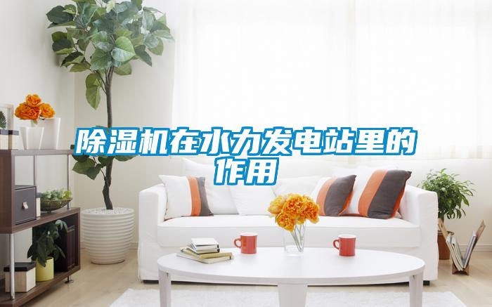 草莓视频下载网址在水力發電站裏的作用