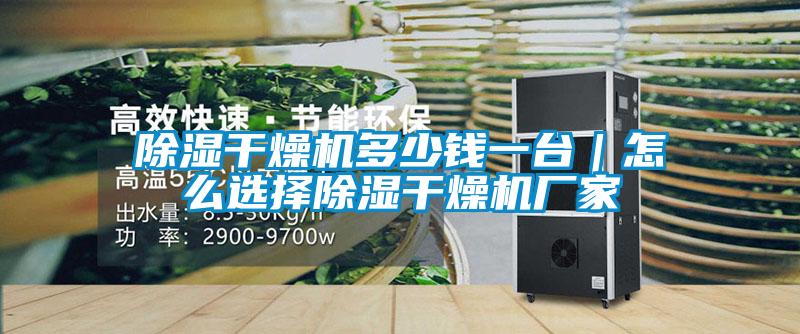 除濕幹燥機多少錢一台｜怎麽選擇除濕幹燥機廠家