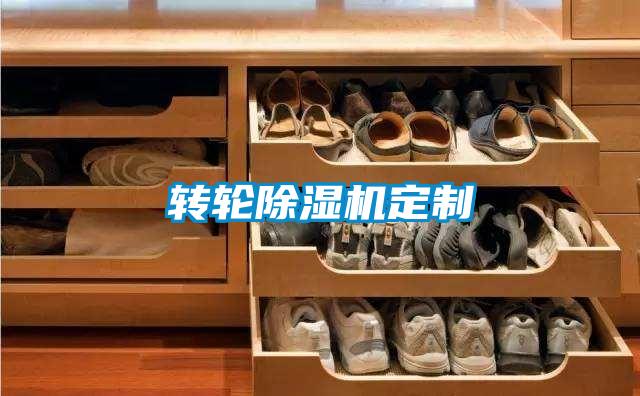 轉輪草莓视频下载网址定製