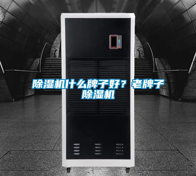 草莓视频下载网址什麽牌子好？老牌子草莓视频下载网址