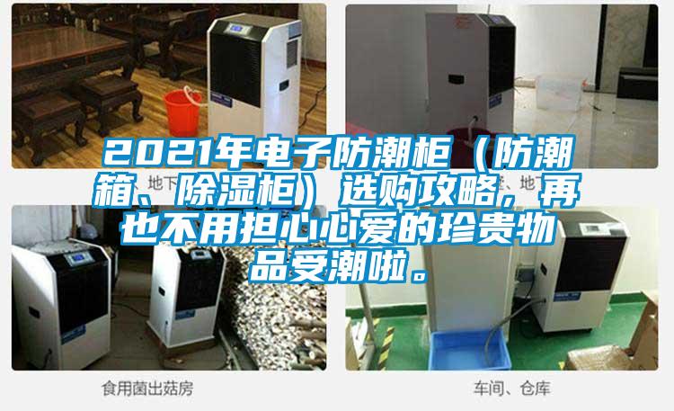 2021年電子防潮櫃（防潮箱、除濕櫃）選購攻略，再也不用擔心心愛的珍貴物品受潮啦。