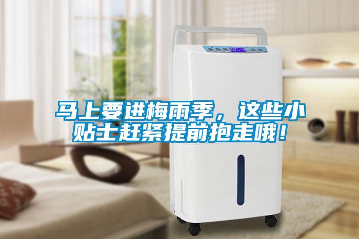馬上要進梅雨季，這些小貼士趕緊提前抱走哦！