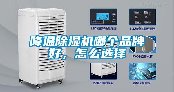 降溫草莓视频下载网址哪個品牌好，怎麽選擇