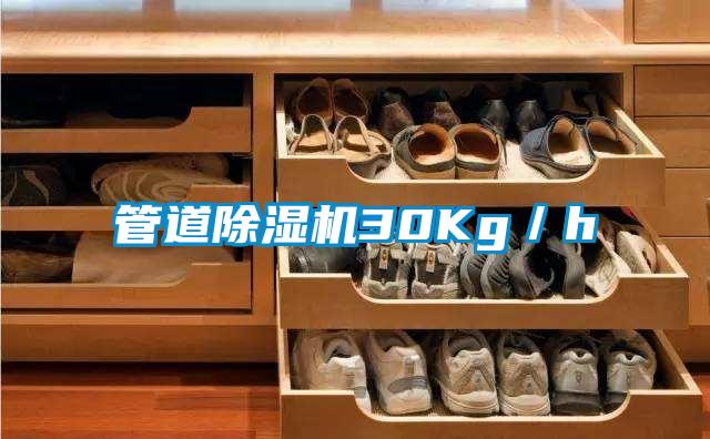 管道草莓视频下载网址30Kg／h