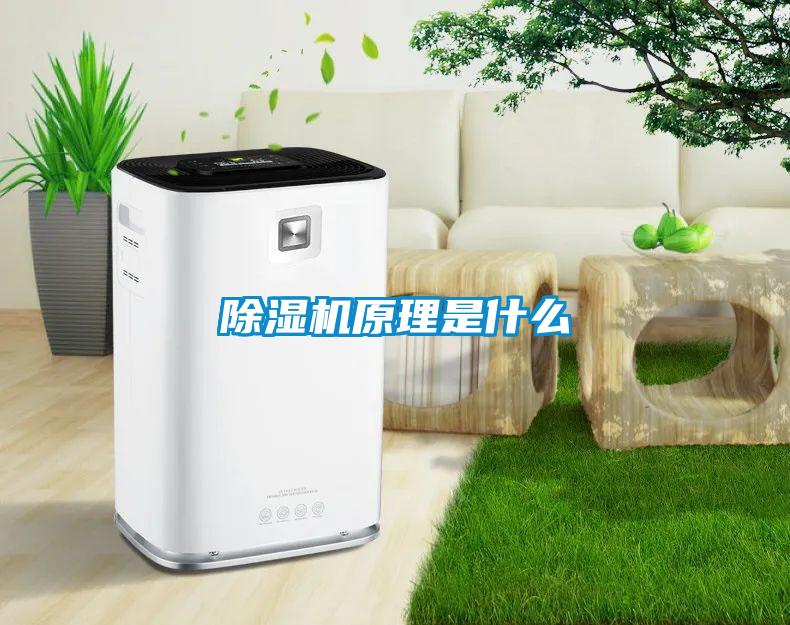 草莓视频下载网址原理是什麽
