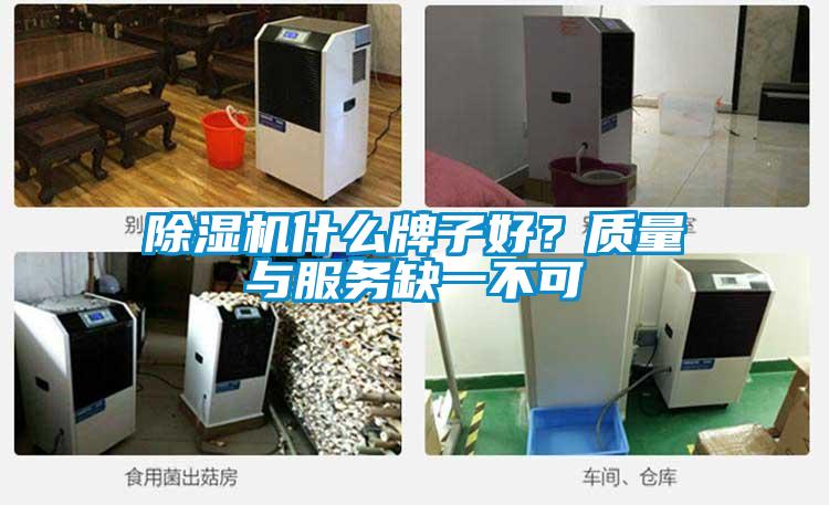 草莓视频下载网址什麽牌子好？質量與服務缺一不可
