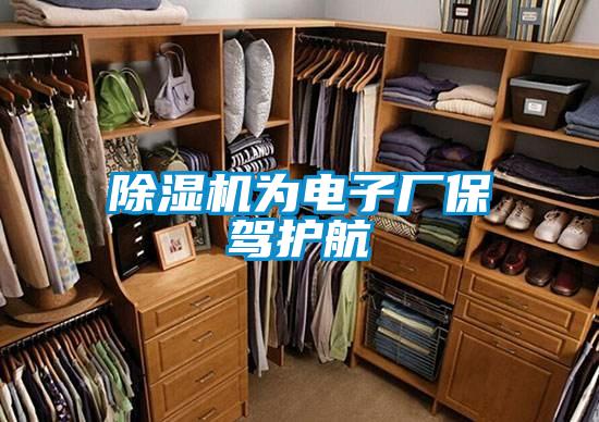 草莓视频下载网址為電子廠保駕護航