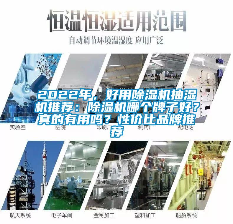 2022年，好用草莓视频下载网址抽濕機推薦：草莓视频下载网址哪個牌子好？真的有用嗎？性價比品牌推薦