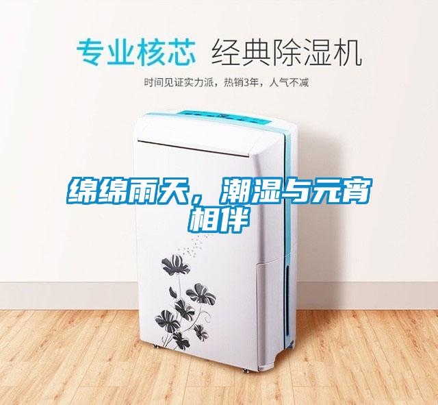 綿綿雨天，潮濕與元宵相伴