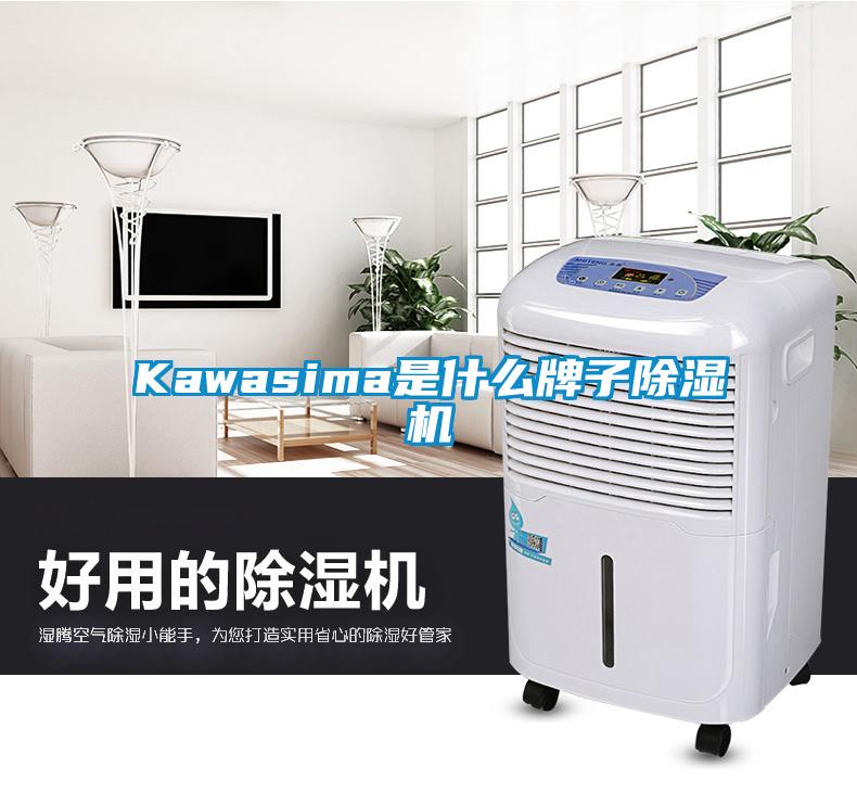 Kawasima是什麽牌子草莓视频下载网址