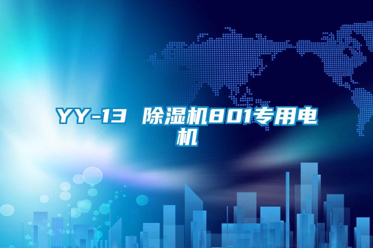 YY-13 草莓视频下载网址801專用電機