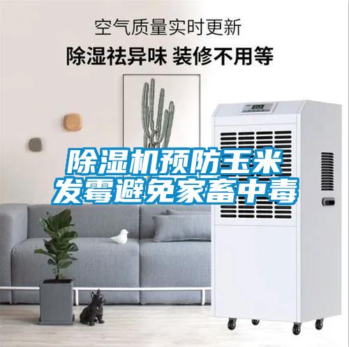 草莓视频下载网址預防玉米發黴避免家畜中毒