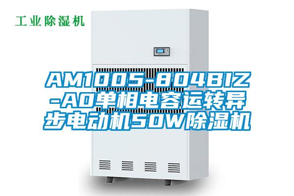 AM1005-804BIZ-A0單相電容運轉異步電動機50W草莓视频下载网址