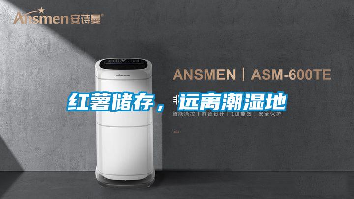 紅薯儲存，遠離潮濕地
