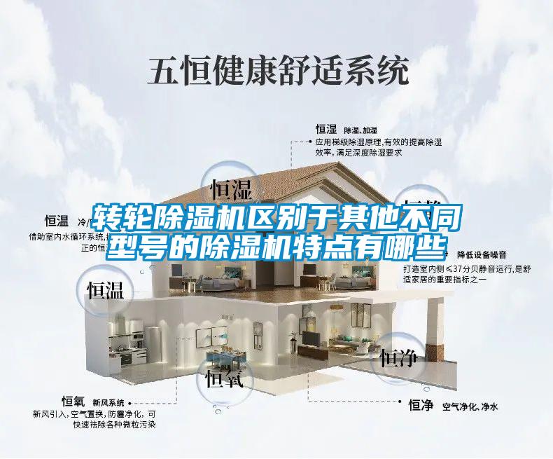 轉輪草莓视频下载网址區別於其他不同型號的草莓视频下载网址特點有哪些
