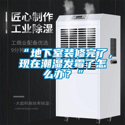 “地下室裝修完了，現在潮濕發黴了怎麽辦？”