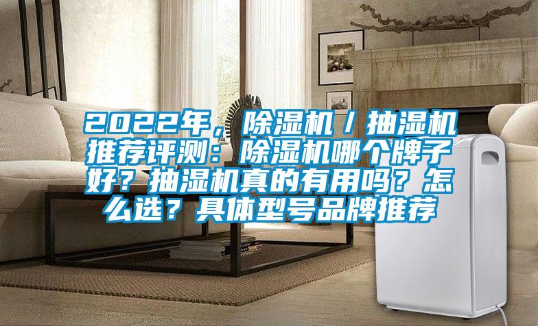 2022年，草莓视频下载网址／抽濕機推薦評測：草莓视频下载网址哪個牌子好？抽濕機真的有用嗎？怎麽選？具體型號品牌推薦