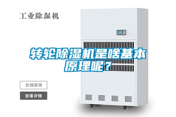 轉輪草莓视频下载网址是啥基本原理呢？