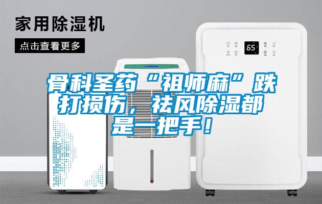 骨科聖藥“祖師麻”跌打損傷，祛風除濕都是一把手！