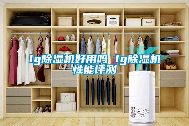 lg草莓视频下载网址好用嗎 lg草莓视频下载网址性能評測