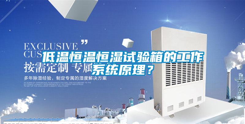 低溫恒溫恒濕試驗箱的工作係統原理？