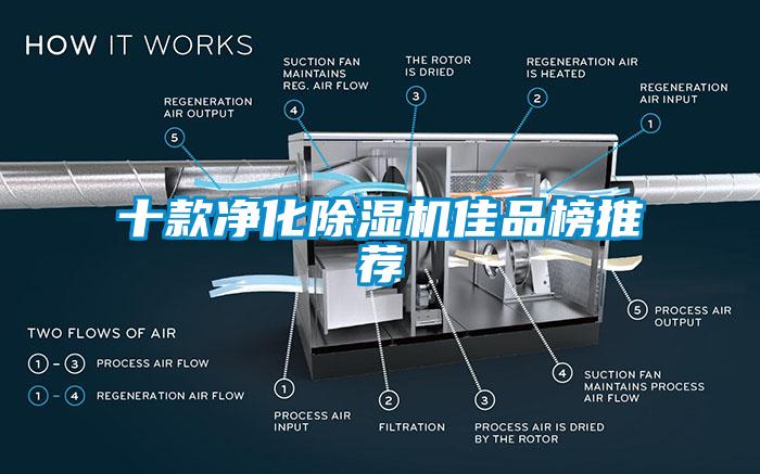十款淨化草莓视频下载网址佳品榜推薦