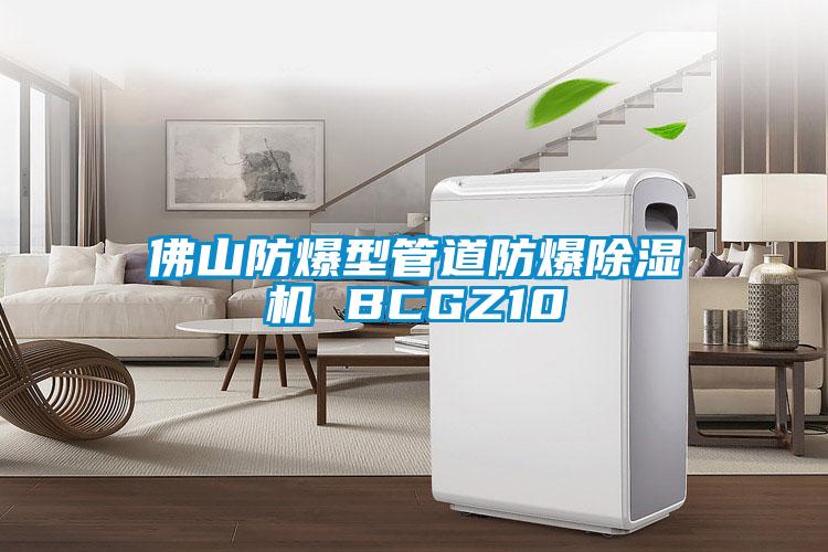 佛山防爆型管道防爆草莓视频下载网址 BCGZ10
