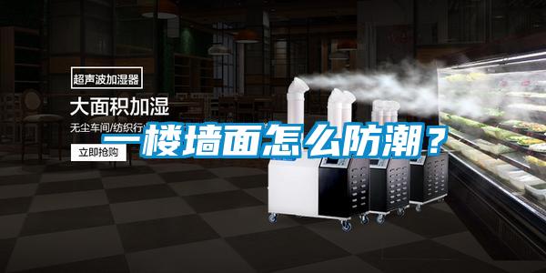 一樓牆麵怎麽防潮？