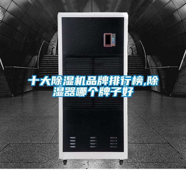 十大草莓视频下载网址品牌排行榜,除濕器哪個牌子好