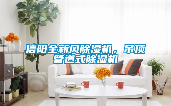 信陽全新風草莓视频下载网址，吊頂管道式草莓视频下载网址