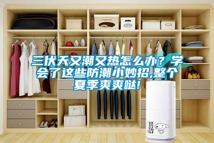 三伏天又潮又熱怎麽辦？學會了這些防潮小妙招,整個夏季爽爽噠!