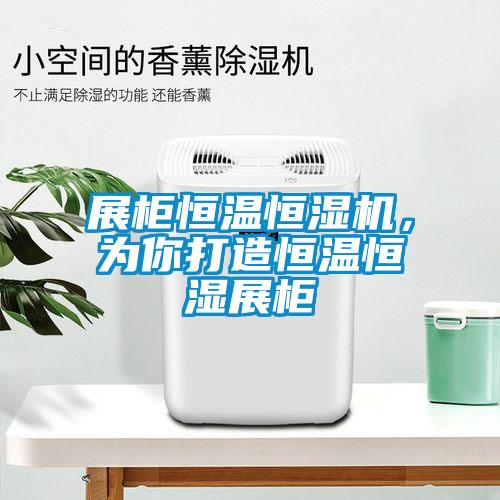 展櫃恒溫恒濕機，為你打造恒溫恒濕展櫃