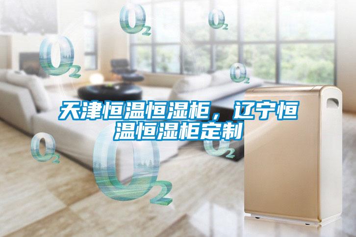天津恒溫恒濕櫃，遼寧恒溫恒濕櫃定製