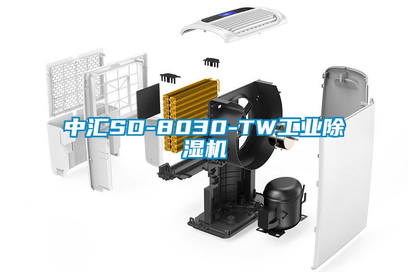 中匯SD-8030-TW工業草莓视频下载网址