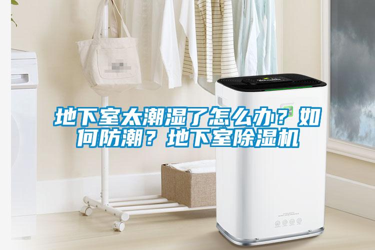 地下室太潮濕了怎麽辦？如何防潮？地下室草莓视频下载网址