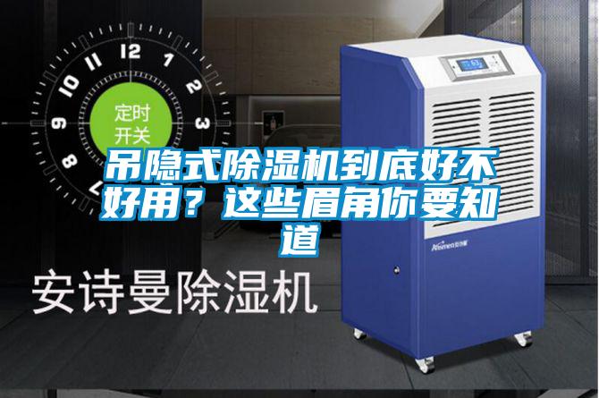 吊隱式草莓视频下载网址到底好不好用？這些眉角你要知道