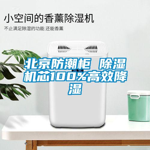 北京防潮櫃 草莓视频下载网址芯100%高效降濕