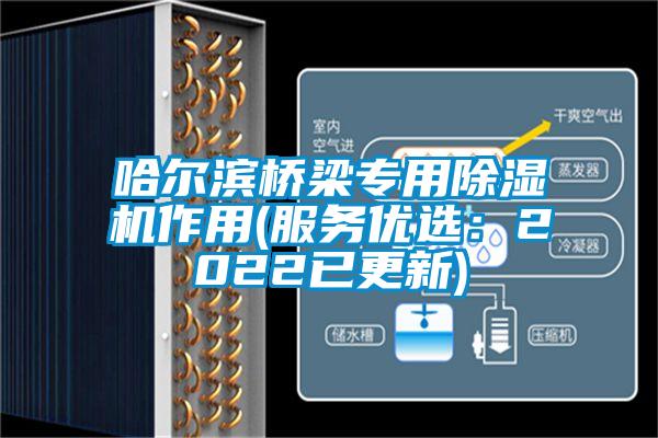 哈爾濱橋梁專用草莓视频下载网址作用(服務優選：2022已更新)
