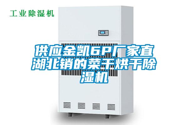 供應金凱6P廠家直湖北銷的菜幹烘幹草莓视频下载网址