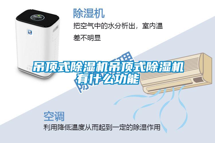 吊頂式草莓视频下载网址吊頂式草莓视频下载网址有什麽功能
