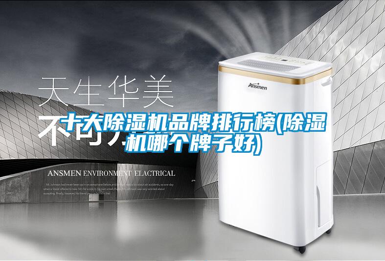 十大草莓视频下载网址品牌排行榜(草莓视频下载网址哪個牌子好)