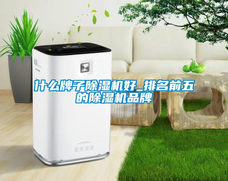 什麽牌子草莓视频下载网址好_排名前五的草莓视频下载网址品牌