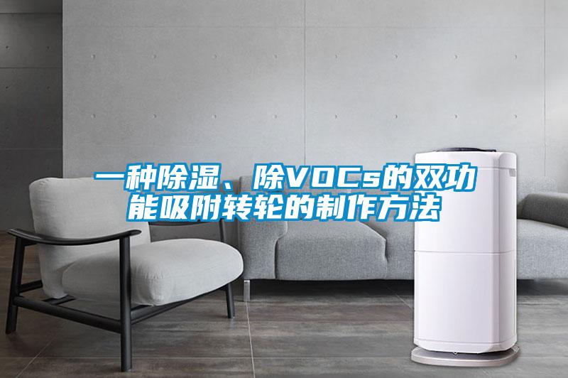 一種除濕、除VOCs的雙功能吸附轉輪的製作方法